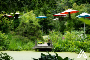 Domaine Joly, Lotbinière, 20 juillet 2025