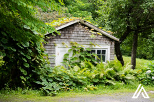 Domaine Joly, Lotbinière, 20 juillet 2025